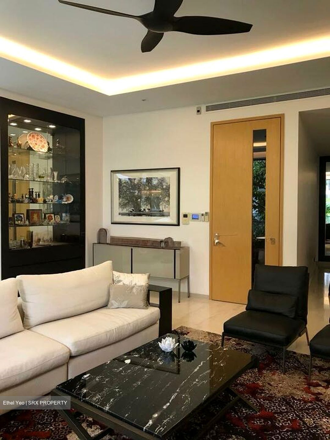 Belle Vue Residences (D9), Condominium #502274111
